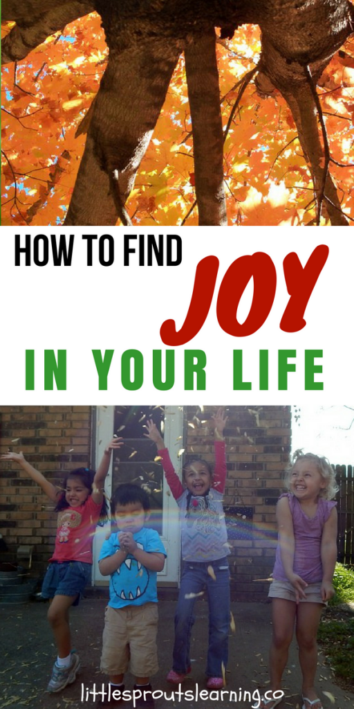 How to Find Joy in Your Life