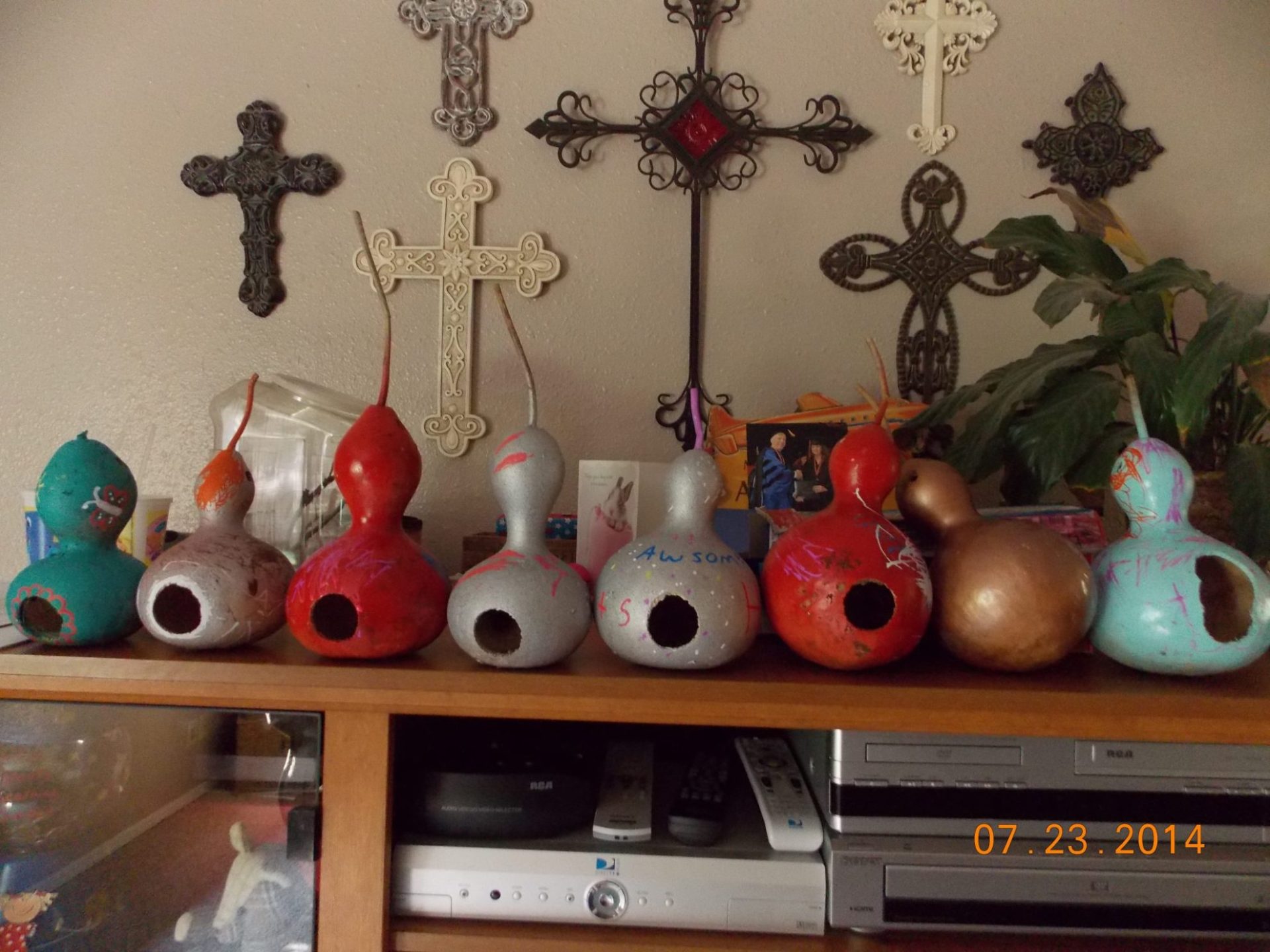 How to Grow Birdhouse Gourds and Make BirdhousesLittle Sprouts Learn