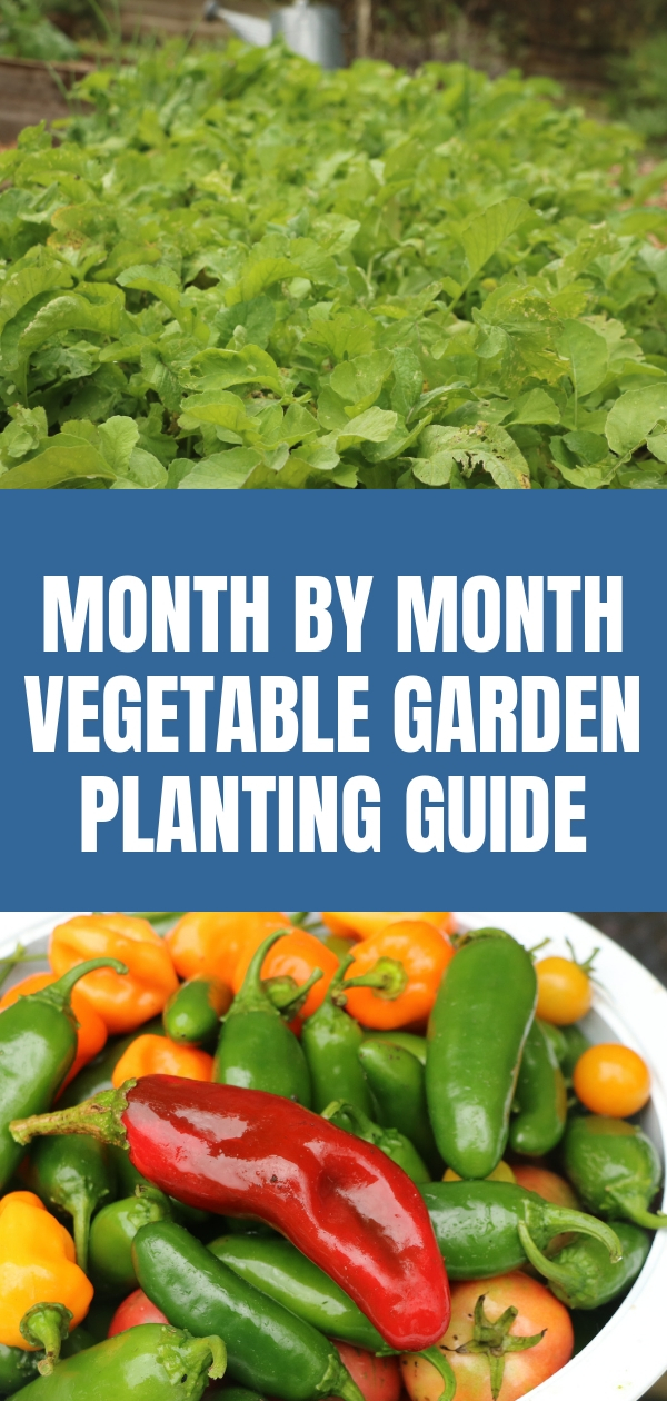 Month by Month Vegetable Garden Planting Guide Little