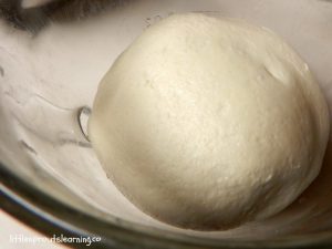 How to Make Homemade Mozzarella Cheese