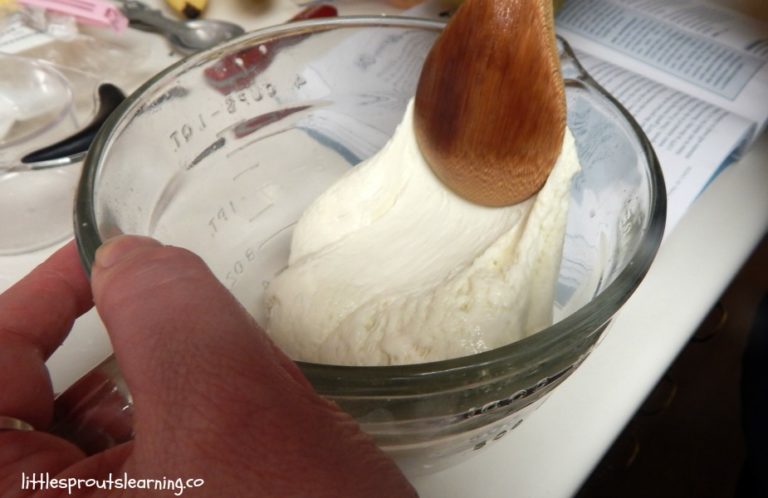 Come Scongelare In Fretta La Mozzarella