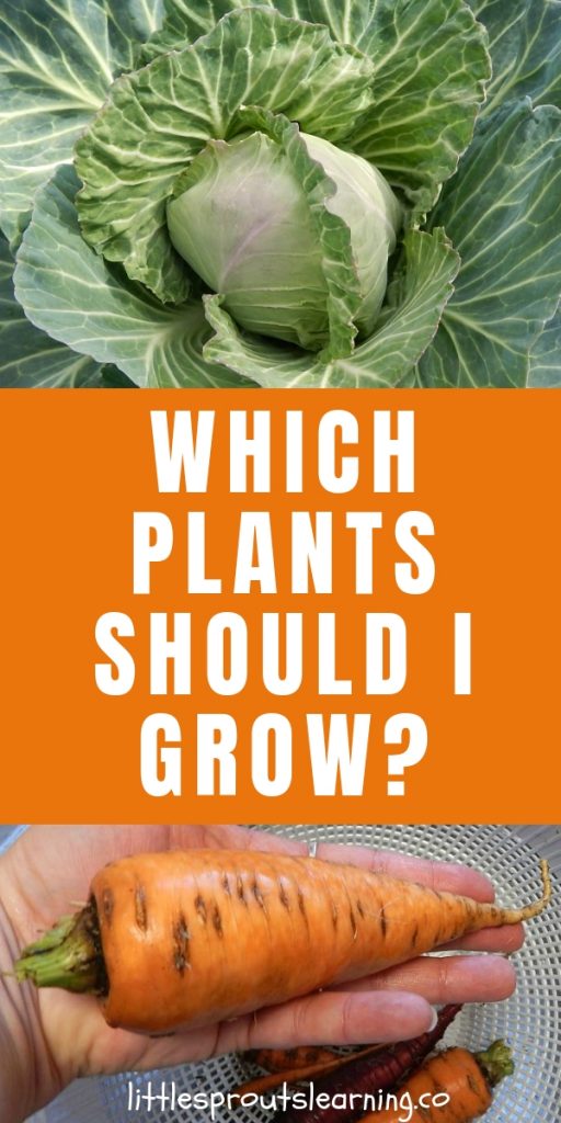 How to Choose Plant Varieties