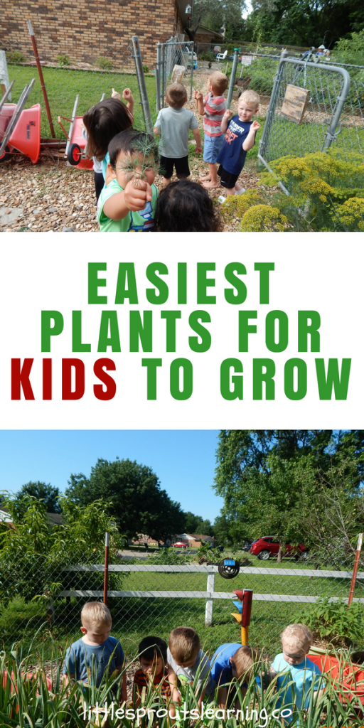 What are the Easiest Plants for Kids to Grow?