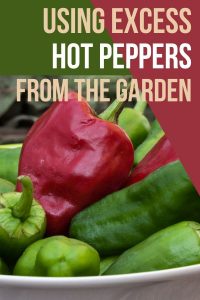 9 Ways to Use Excess Hot Peppers from the Garden