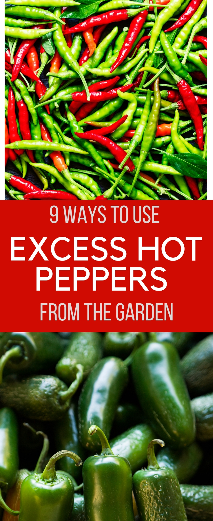 9 Ways to Use Excess Hot Peppers from the Garden