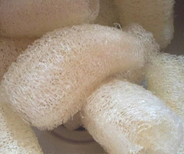 How to Maintain and Sanitize Loofah Sponges