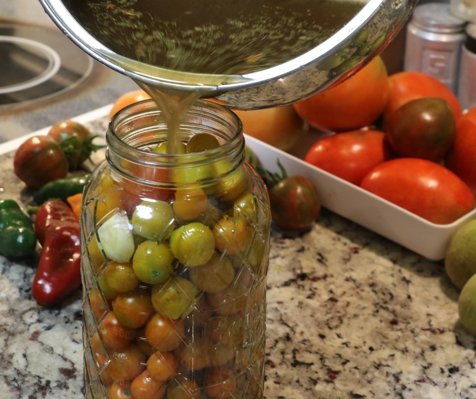 Easy Refrigerator Pickled Cherry Tomatoes Little Sprouts Learning
