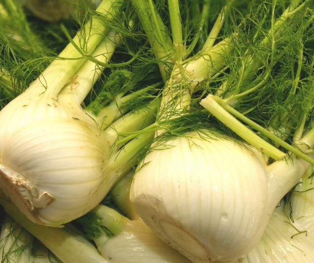 How to Make Ground Fennel Powder at HomeLittle Sprouts Learning