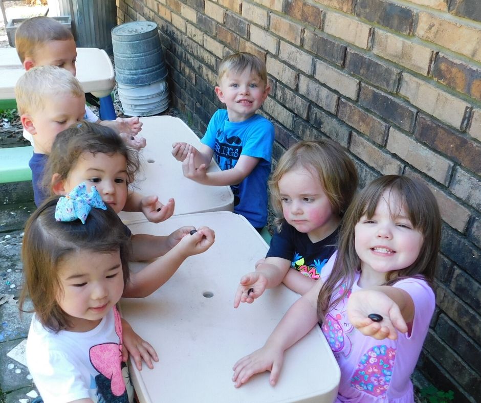 Planning Home Daycare Activities Little Sprouts Learning