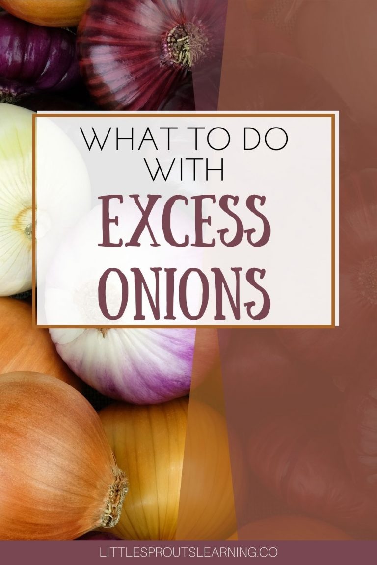 What to do with Excess OnionsLittle Sprouts Learning