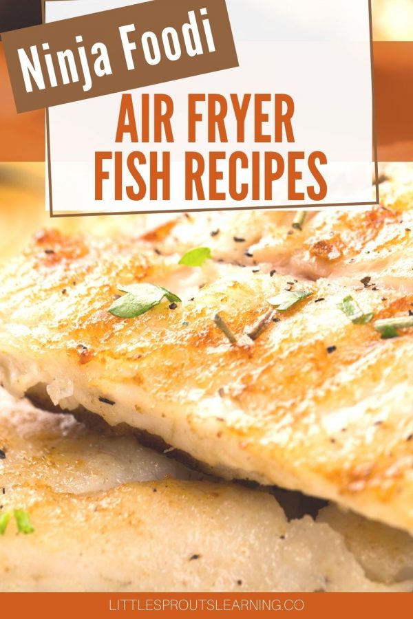 Ninja Foodi Air Fryer Fish Recipes