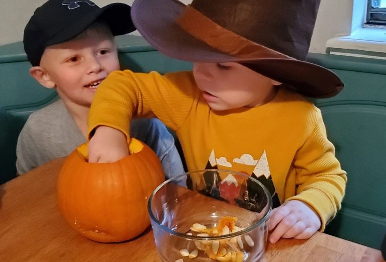 Pilgrim Pumpkin PieLittle Sprouts Learning