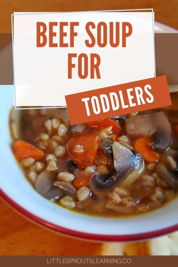 Beef Soup for ToddlersLittle Sprouts Learning