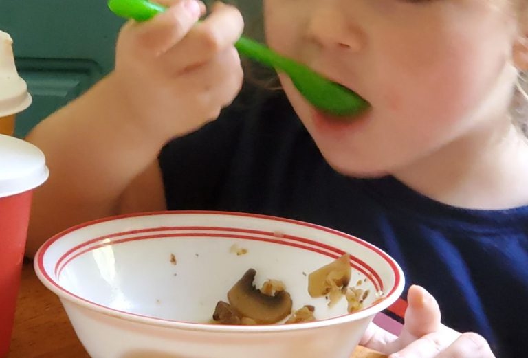 Beef Soup for ToddlersLittle Sprouts Learning