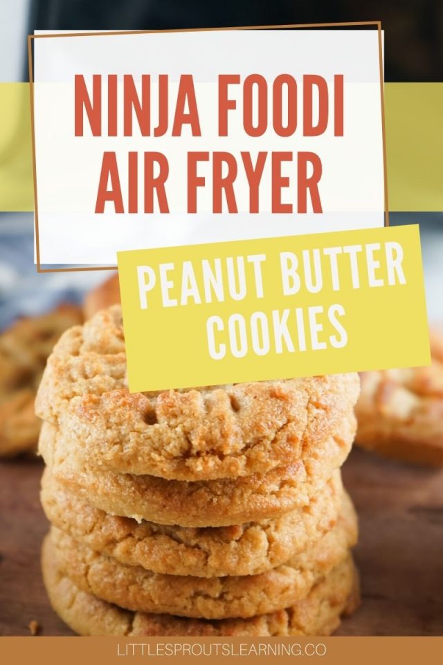 Ninja Foodi Air Fryer Peanut Butter CookiesLittle Sprouts Learning