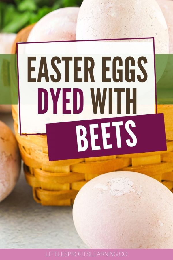 Easter Eggs Dyed with BeetsLittle Sprouts Learning