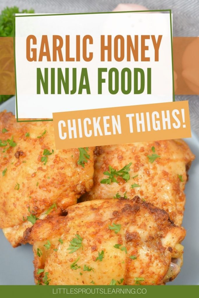 Garlic Honey Ninja Foodi Chicken ThighsLittle Sprouts Learning