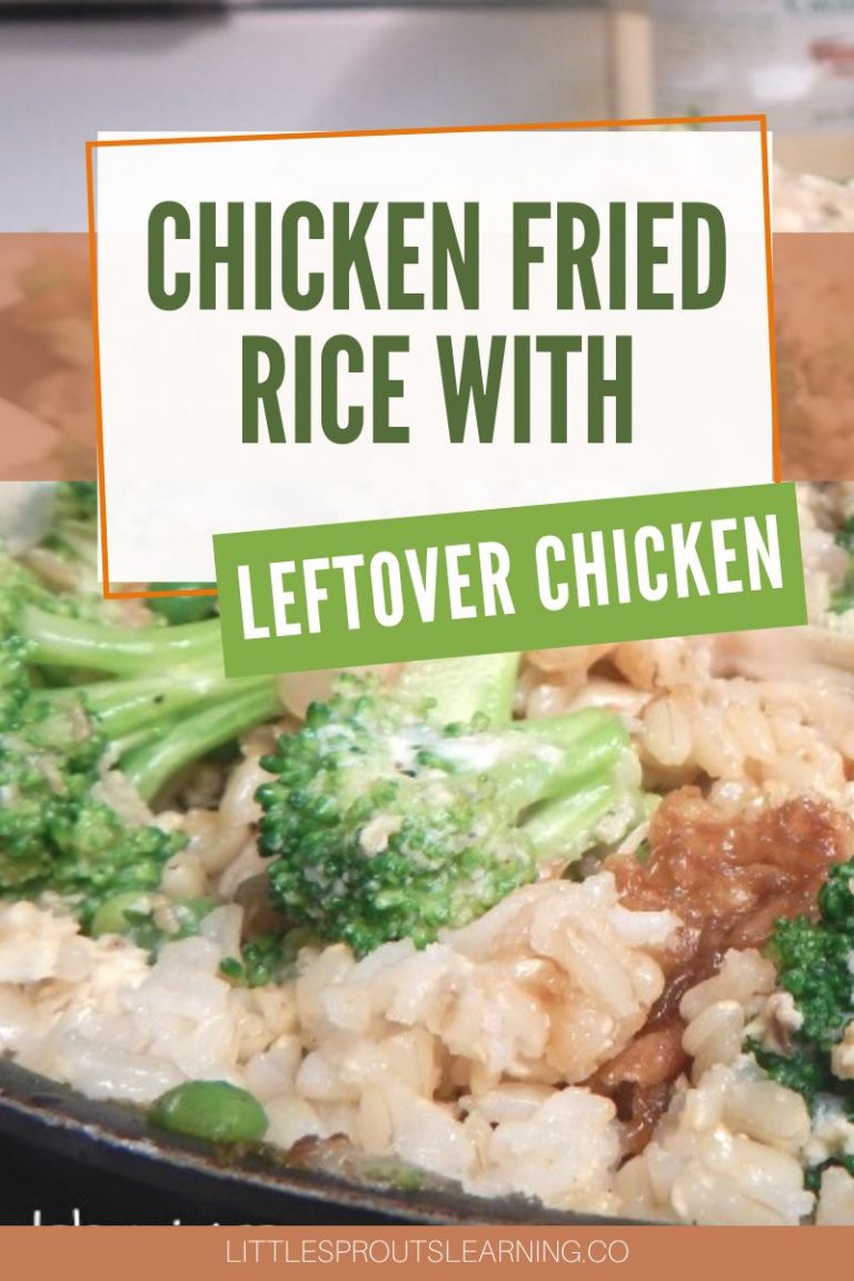 Chicken Fried Rice with Leftover ChickenLittle Sprouts Learning