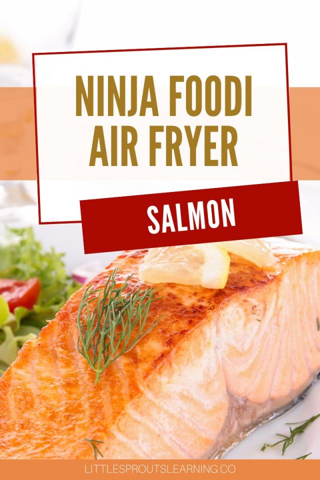 Ninja Foodi Air Fryer SalmonLittle Sprouts Learning