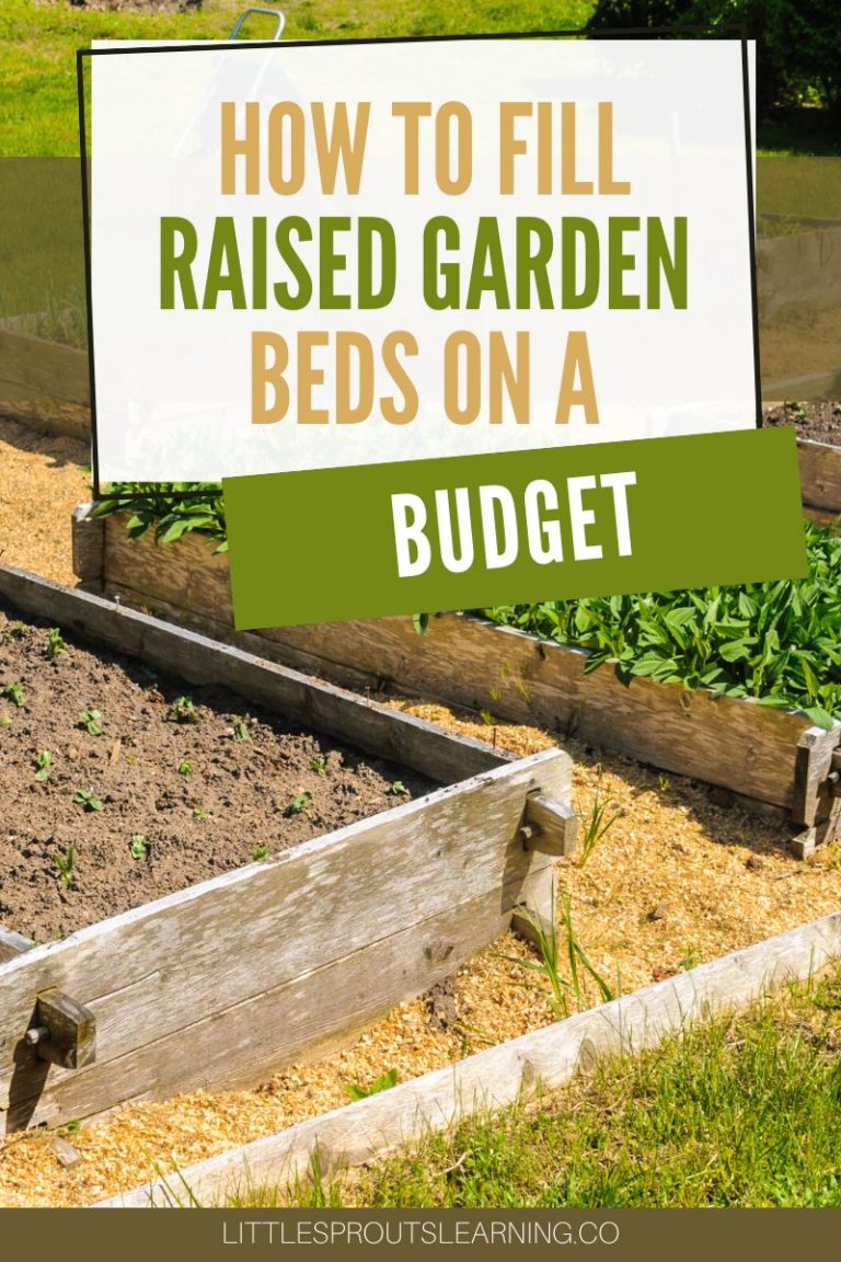 How to Fill Raised Garden Beds on a BudgetLittle Sprouts