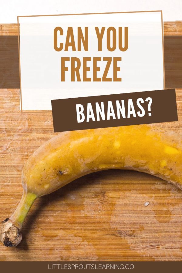 Can You Freeze BananasLittle Sprouts Learning