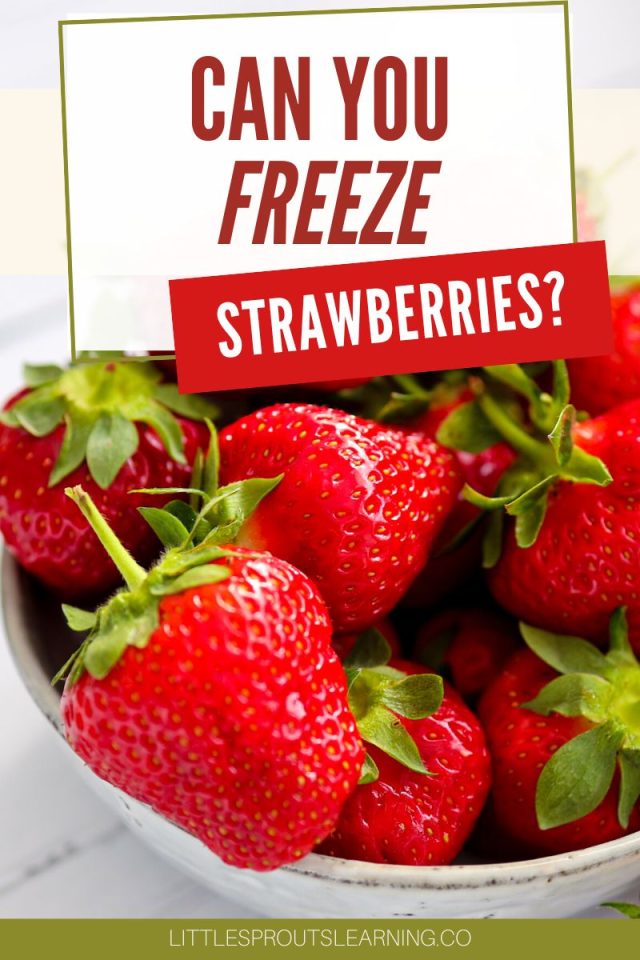 Can You Freeze Strawberries?Little Sprouts Learning