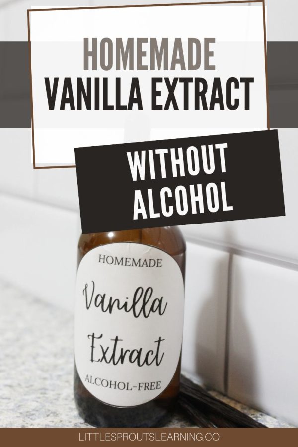 Homemade Vanilla without AlcoholLittle Sprouts Learning